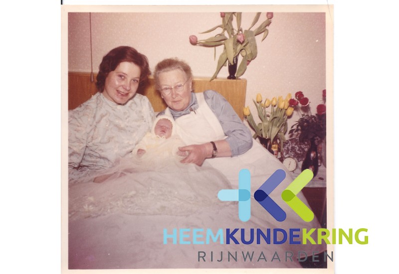 Dina Damen Coll. HKR F0000031